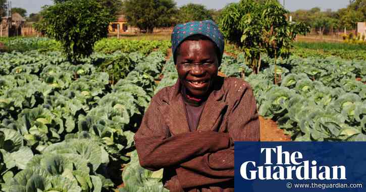 Africa’s small-scale revolution against big agriculture: five farmers talk greener, better food