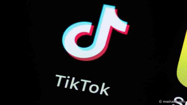 TikTok could pull music from Phoebe Bridgers, Mitski, and Nirvana from the platform — here's why