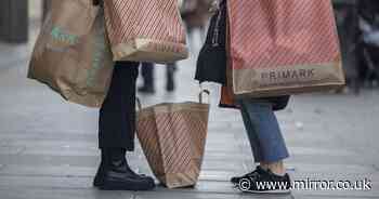 Primark's £17 burgundy jumper in 'best thing on sale this autumn' shoppers say