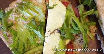 Penge man finds extra filling in Tesco cheese sandwich – a daddy longlegs