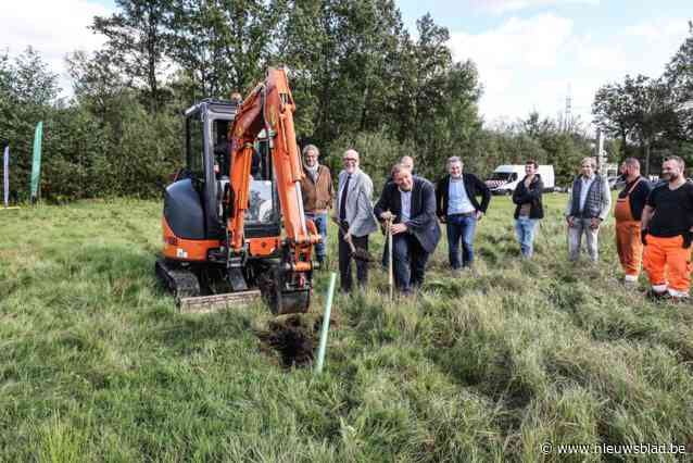 Natte weide naast E10-plas herschapen in klimaatpark De Zwaan: overstromingen vermijden, waterrecreatie en dromen van de otter