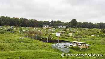 World's 'first no-dig allotment' is slammed by Chris Packham and Deborah Meaden as locals say plan is bad for wildlife