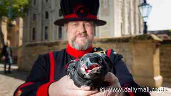 King's raven is third to die at the Tower of London in last three years - so does this mean the monarch will fall?