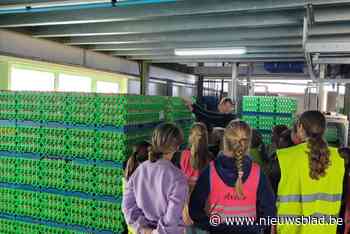 Wuustwezelse leerlingen gluren binnen bij eierhandel Noordwateringshoeve op Binnen Bij Boerendag