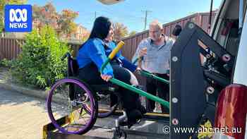 Pauline was forced to sleep in her wheelchair when an accessible taxi failed to turn up