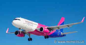 Wizz Air 'cancels' flights over 'technical issue' leaving passengers fuming