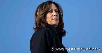 Kamala Harris Under Fire After She Reveals What Will Be Given to Hurricane Helene Victims