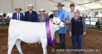 Charolais dominates interbreed awards at the 2024 Perth Royal Show