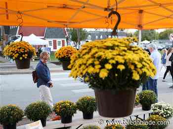 Photo Gallery: Perrysburg Farmers Market features fall colors