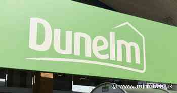 Dunelm £79 'fake' wood burning stove 'without hassle of real logs' this winter