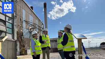 Sawmill wood waste to turn steam into electricity in return to 1950s