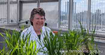 $65 million plant breeding boost at the University of Queensland