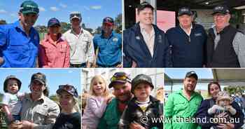 Out and about at studstock sales | Photos