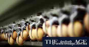 Egg shortages roll on as farmers fear new bird flu outbreak