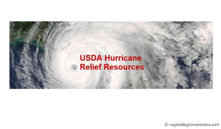 Disaster assistance for Hurricane Helene recovery offered by USDA