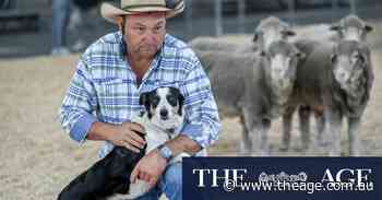 ‘We bring the country to the city’: Animals still the key to show’s success