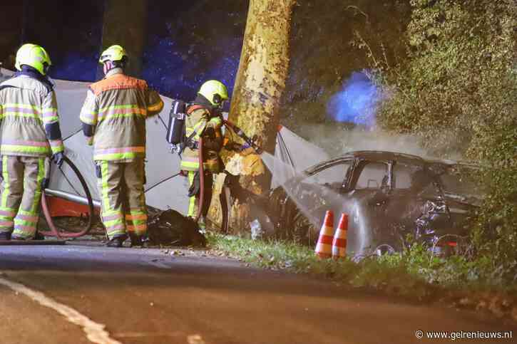 Auto vliegt in brand na botsing tegen boom, bestuurder overleden