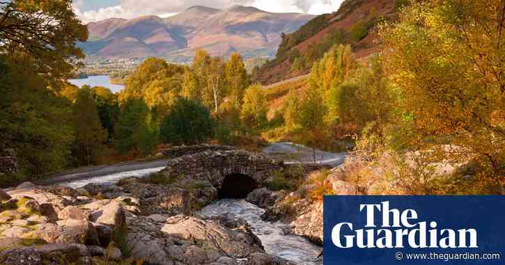 ‘A wildly beautiful place for autumn colour’: readers’ favourite UK forest trails