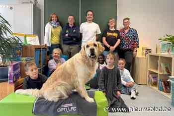 “Beste therapeut heeft een vacht met vier poten”: school viert hond Barry op Werelddierendag