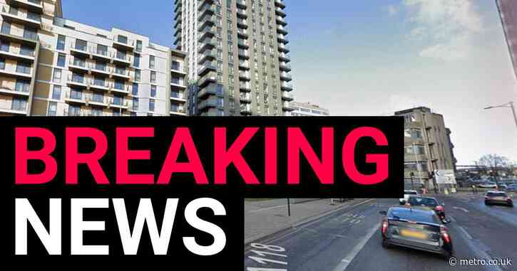 Man stabbed to death in block of flats in east London