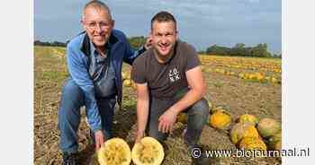 IDorganics zoekt Nederlandse akkerbouwers