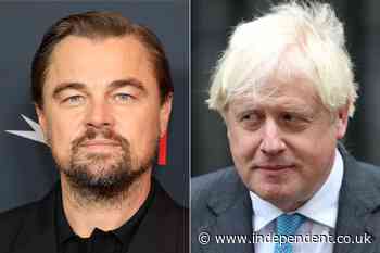 Boris Johnson admits Leonardo DiCaprio snubbed him during cringe encounter