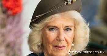 Queen Camilla's son sets record straight on reputation that's plagued her