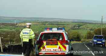 Horse killed in crash near Swindon