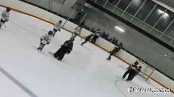 Parents and coach brawl at kids' hockey tourney in Hamilton, prompting refs to halt game