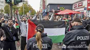 Pro-Palästina-Demo in Hamburg: Islamforscher beraten die Polizei