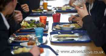 Newcastle could stop council-run school dinners amid 'genuine risk' posed by rising costs