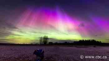 Keep an eye on the sky! We may get another intense northern lights display over the coming days