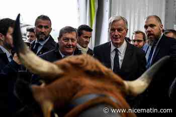 Au chevet des éleveurs, les premières annonces agricoles pour le gouvernement Barnier