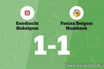 Fenixx speelt gelijk tegen Hekelgem