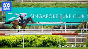 Singapore real estate prices are so shocking, the city-state is bulldozing this racecourse for the land