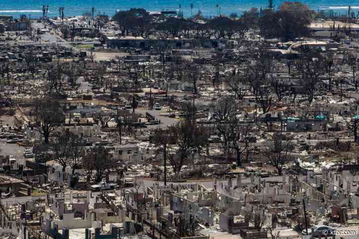 Investigators reveal cause of devastating Maui wildfire that killed 102 people