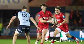 Scarlets remain winless after late heartbreak against Connacht