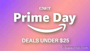 Best Prime Day Deals Under $25: Score Early Markdowns on Tech, Kitchen Appliances and More