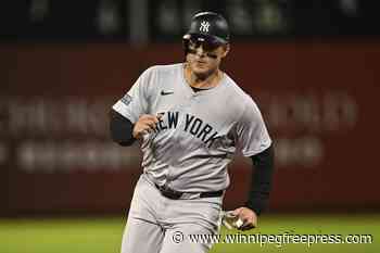 Yankees’ Anthony Rizzo to miss AL Division Series because of fractured fingers