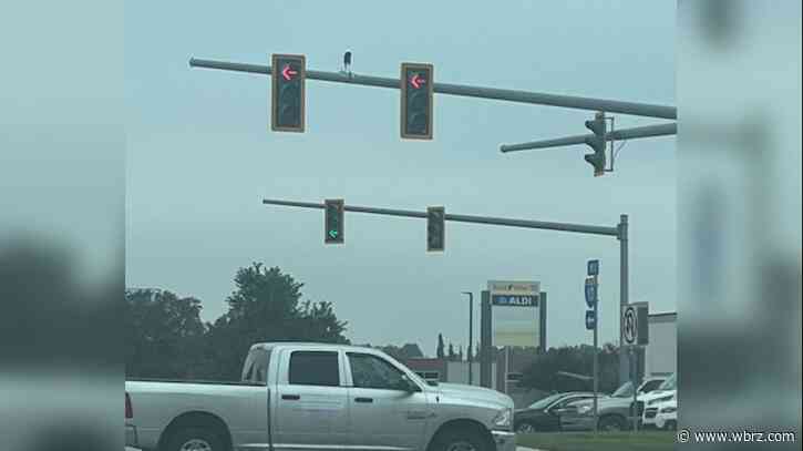 Signal heads on Siegen Lane knocked askew by Hurricane Francine