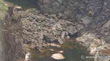 Rock slide discovered near North Vancouver's Cleveland Dam