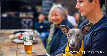 Second Food Lovers Festival of the year takes place in Malton