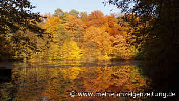 Bist du ein Herbstmensch?