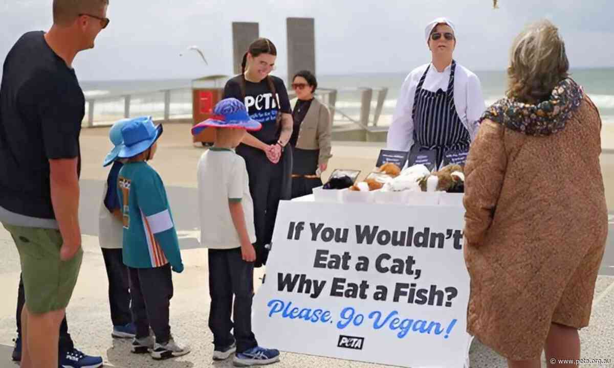 PETA Serves Up Fresh “Kitten Fillets” at Surfers Paradise