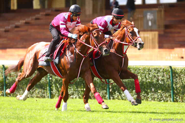 Yahagi convinced he has the horse to fulfil Arc dreams for Japan