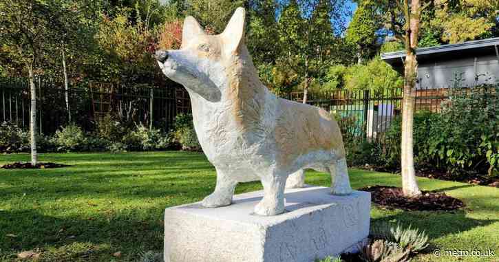 Council spends £35,000 on Corgi statues ‘instead of fixing potholes’ 