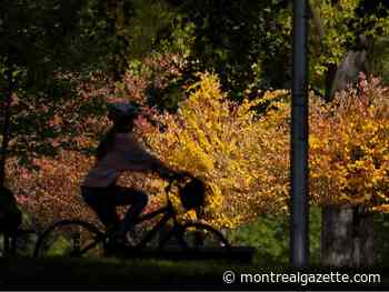 Montreal weather: Now it's starting to feel a little like fall