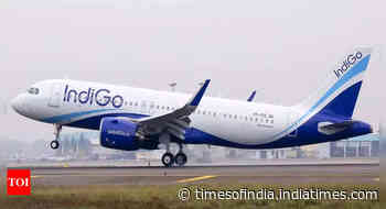 IndiGo system slowdown: Long queues at airports