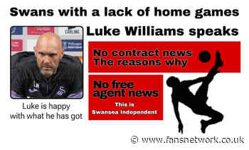 Swansea City : Two home games over the next forty eight days : Plus Luke Williams