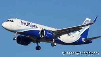 IndiGo System Outage: Flight Delays Affect Passengers Nationwide, Long Queues At Airports